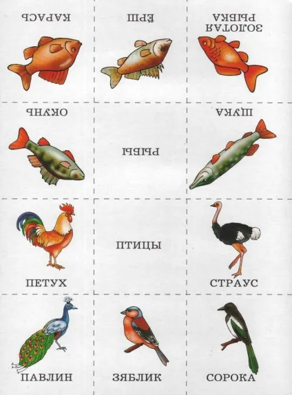Назви одним словом