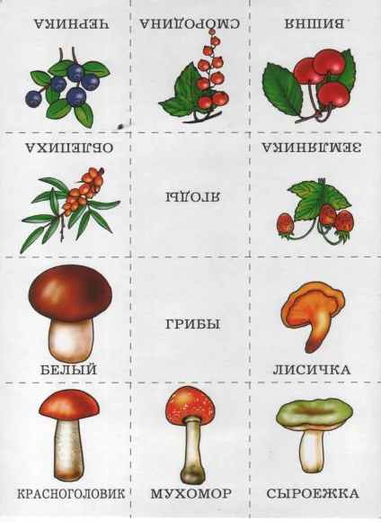 Назви одним словом