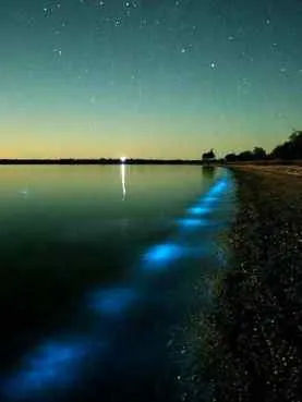 Нічне світло моря ... - відпочинок в Бердянську