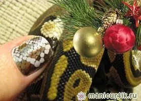 Новорічний дизайн нігтів 2013 - рік чорної змії (фото) (нігтів) Новорічний дизайн нігтів 2013 - рік чорної змії (фото)