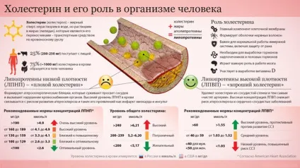 Низький холестери наслідки і чим небезпечний низький рівень холестерину (рівень) Низький холестери наслідки і чим небезпечний низький рівень холестерину
