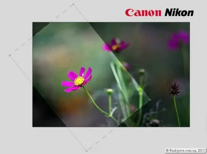 Nikon vs canon