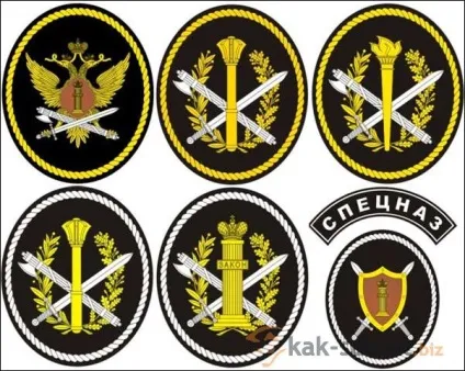 Нова форма фсінУкаіни