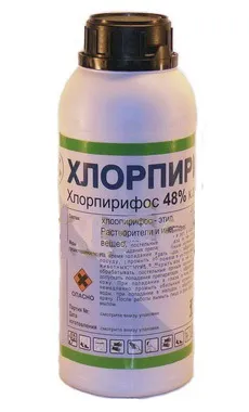 Обробка квартири від клопів як очищають приміщення від паразитів і скільки це коштує (обробка) Обробка квартири від клопів як очищають приміщення від паразитів і скільки це коштує