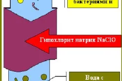Обслуговування басейну своїми руками ремонт, очищення, дезінфекція (своїми) Обслуговування басейну своїми руками ремонт, очищення, дезінфекція