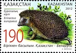 звичайний їжак