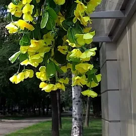 Огляд фотокамери lytro - неспроможна революція