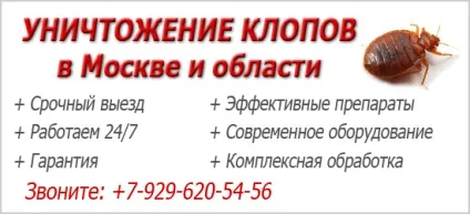 Обробка квартири від клопів як очищають приміщення від паразитів і скільки це коштує (клопів) Обробка квартири від клопів як очищають приміщення від паразитів і скільки це коштує