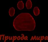 Перенаселення планети причини і наслідки (причини) Перенаселення планети причини і наслідки