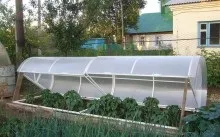Парники для огірків види і типи (фото), правила вибору, відео по виготовленню своїми руками (руками) Парники для огірків види і типи (фото), правила вибору, відео по виготовленню своїми руками