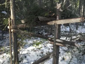 Полювання на соболя саморобними гуманними капканами (полювання) Полювання на соболя саморобними гуманними капканами