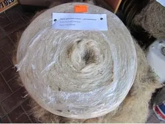 пакля стрічкова