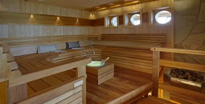 Парогенератор для лазні сауни, газові електричні дров'яні печі для хамама, монтаж і установка (парогенератор) Парогенератор для лазні сауни, газові електричні дров'яні печі для хамама, монтаж і установка