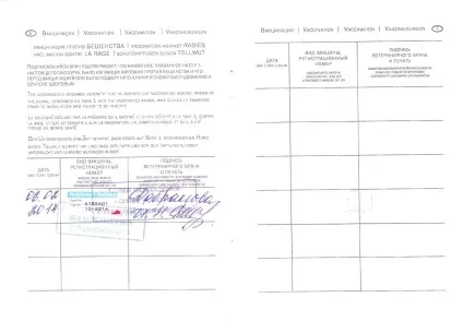 Переїзд в Тайланд з котом (котом) Переїзд в Тайланд з котом