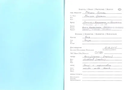 Переїзд в Тайланд з котом (котом) Переїзд в Тайланд з котом