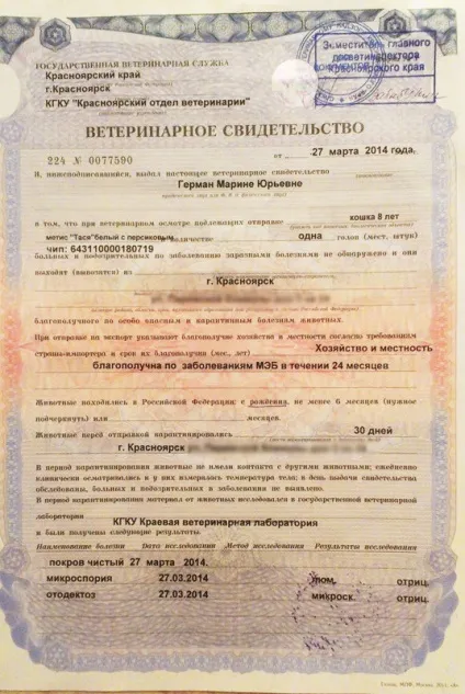 Переїзд в Тайланд з котом (ввезення тваринного Таїланд) Переїзд в Тайланд з котом
