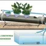 Про гідропоніці - найпотрібніші саморобки (Варто прийняти увагу) Про гідропоніці - найпотрібніші саморобки