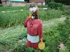 Городнє опудало своїми руками фото ідеї дизайну (городнє) Городнє опудало своїми руками фото ідеї дизайну