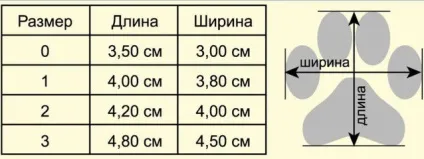 Одяг для маленьких собачок
