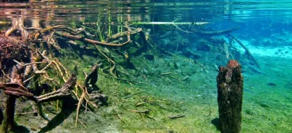 Очищення водойм, чістопруд