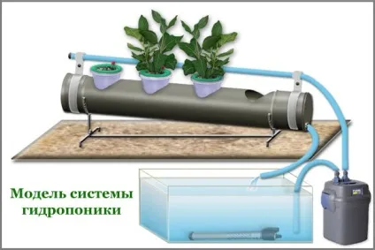Про гідропоніці - найпотрібніші саморобки (Варто прийняти увагу) Про гідропоніці - найпотрібніші саморобки