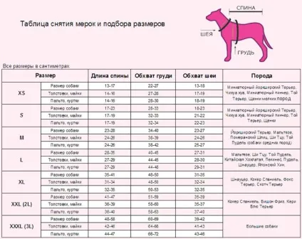Одяг для маленьких собачок