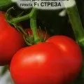 Опис сорту помідор фаворит f1 (характеристика, відгуки)