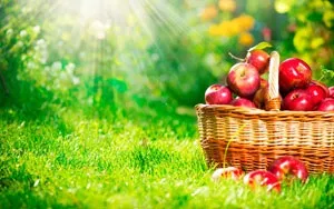 Про продуктах, що містять вітамін с (продуктах) Про продуктах, що містять вітамін з