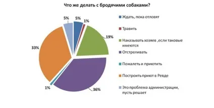 Визначено фірма, яка займеться виловом собак (виловом) Визначено фірма, яка займеться виловом собак