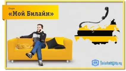 Опція «мій билайн» - опис, підключення, відключення