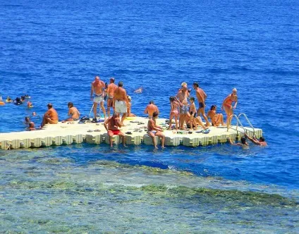 Небезпечні риби червоного моря, туристичний портал (червоного) Небезпечні риби червоного моря, туристичний портал