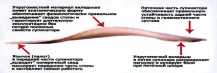 Ортопедичні устілки Бикова - компанія Біола Горлівка Київ Харків Полтава