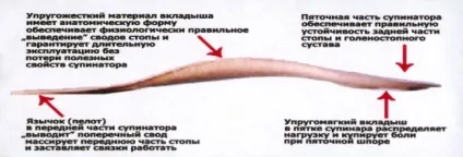 Ортопедичні устілки Бикова - зниження навантаження на опорно-руховий апарат (супинировать напівустілка Бикова) Ортопедичні устілки Бикова - зниження навантаження на опорно-руховий апарат
