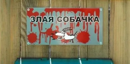 Обережно злий собака 20 забавних табличок (собака) Обережно злий собака 20 забавних табличок