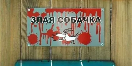 Обережно, злий пес! Підбірка найкреативніших написів на цю тему (20 фото) () Обережно, злий пес! Підбірка найкреативніших написів на цю тему (20 фото)
