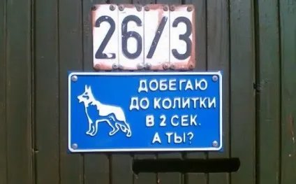 Обережно злий собака 20 забавних табличок (табличок) Обережно злий собака 20 забавних табличок