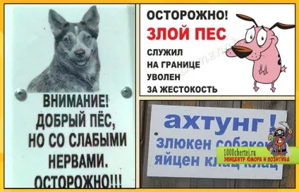 Обережно, злий пес! Підбірка найкреативніших написів на цю тему (20 фото) () Обережно, злий пес! Підбірка найкреативніших написів на цю тему (20 фото)