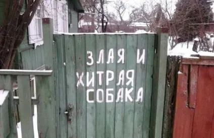Обережно злий собака 20 забавних табличок (зла) Обережно злий собака 20 забавних табличок