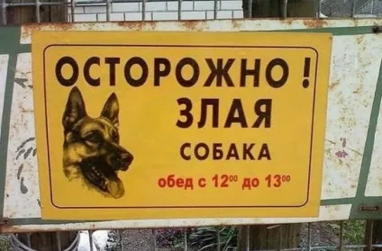 Обережно злий собака 20 забавних табличок (зла) Обережно злий собака 20 забавних табличок