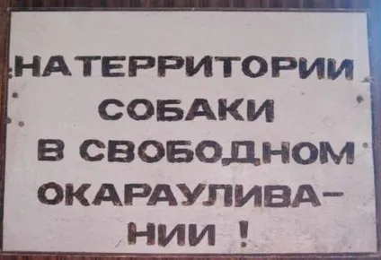 Обережно злий собака 20 забавних табличок ( «обережно злий собака») Обережно злий собака 20 забавних табличок