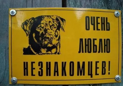 Обережно злий собака 20 забавних табличок ( «обережно злий собака») Обережно злий собака 20 забавних табличок