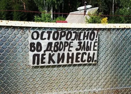 Обережно, злий пес! Підбірка найкреативніших написів на цю тему (20 фото) () Обережно, злий пес! Підбірка найкреативніших написів на цю тему (20 фото)