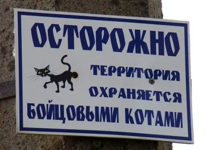 Обережно злий собака 20 забавних табличок (зла) Обережно злий собака 20 забавних табличок