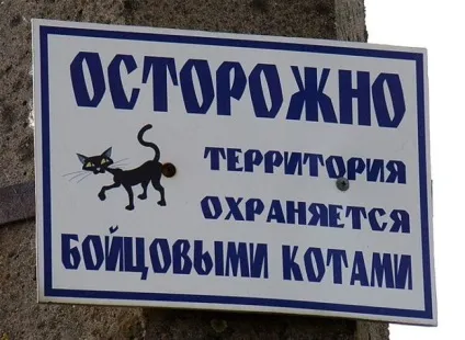 Обережно, злий пес! Підбірка найкреативніших написів на цю тему (20 фото) () Обережно, злий пес! Підбірка найкреативніших написів на цю тему (20 фото)