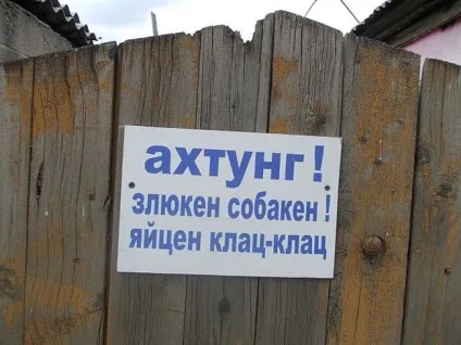 Обережно, злий пес! Підбірка найкреативніших написів на цю тему (20 фото) () Обережно, злий пес! Підбірка найкреативніших написів на цю тему (20 фото)
