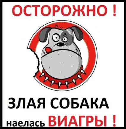 Обережно злий собака 20 забавних табличок ( «обережно злий собака») Обережно злий собака 20 забавних табличок