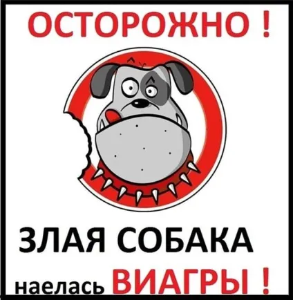Обережно, злий пес! Підбірка найкреативніших написів на цю тему (20 фото) () Обережно, злий пес! Підбірка найкреативніших написів на цю тему (20 фото)