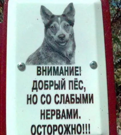 Обережно злий собака 20 забавних табличок (зла) Обережно злий собака 20 забавних табличок