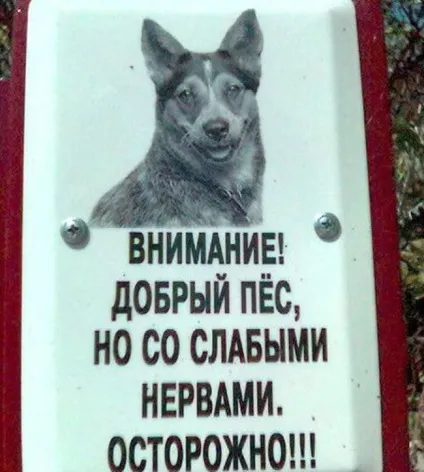Обережно, злий пес! Підбірка найкреативніших написів на цю тему (20 фото) () Обережно, злий пес! Підбірка найкреативніших написів на цю тему (20 фото)