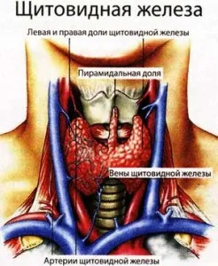 Від йоду до гормону, ви здорові (йоду) Від йоду до гормону, ви здорові